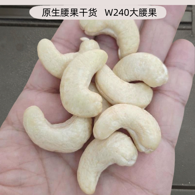 Vietnamese Raw Cashew W240 Large Particles Fresh Dry Goods Wholesale Baidacheng Imported Nuts Shelled Baking Ingredients
