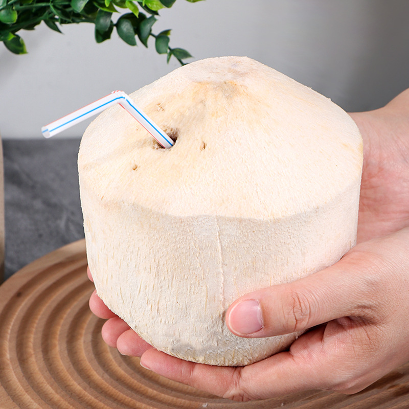 New Plastic Stainless Steel Coconut Opener Portable and Practical Fresh Coconut Household Reusable Coconut Opener