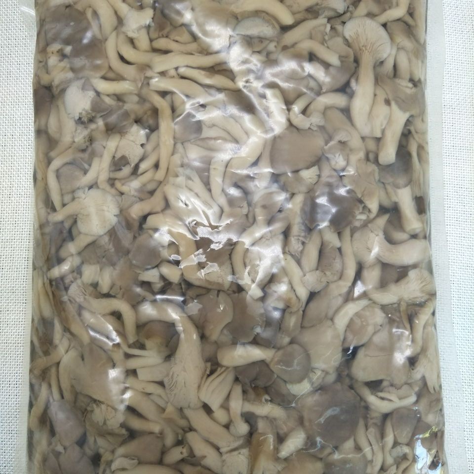 Древний гриб, вареные грибы 1кг, смесь грибов, консервированные грибы в банке