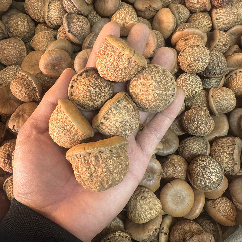 Fengliu Gu Turtle Head Tianzhu Seed Kidney-Benefiting Stone Fruit Male Wine Ingredients with Cynomorium and Cistanche Deserticola for Rejuvenation