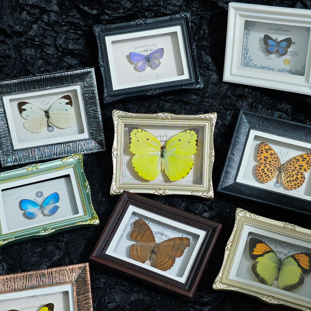 Natural Real Insect Butterfly Specimen Finished Small Photo Frame Magnetic Refrigerator Magnet Home Decoration Ornaments Birthday Gift