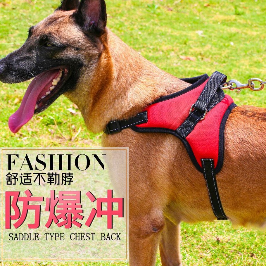 оптовая продажа собачьих шлейк для крупных собак, форма кости, для золотистых ретриверов, противоутечный поводок для использования на улице