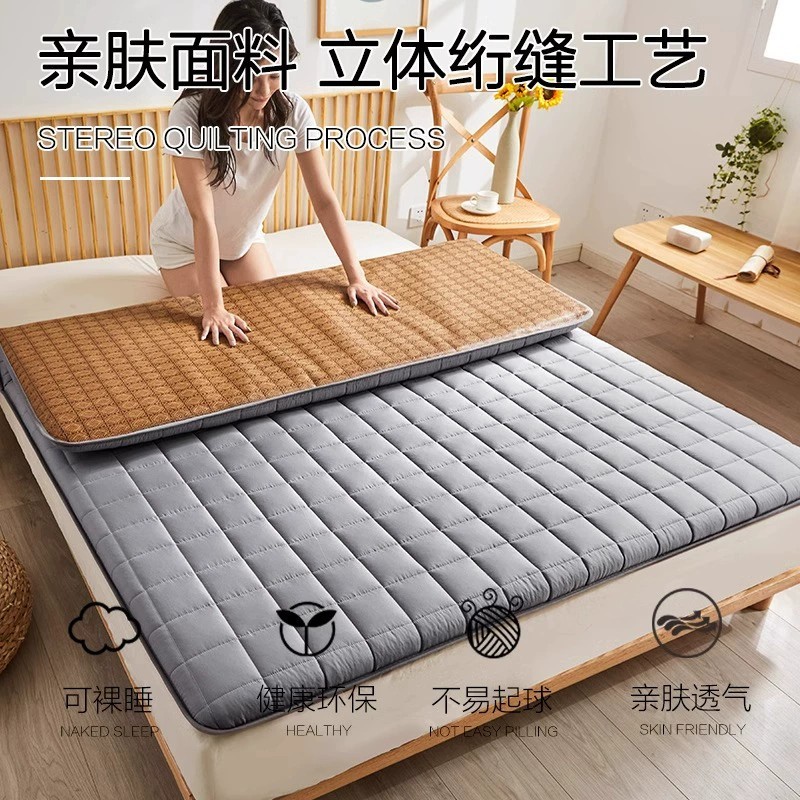 Tatami Summer Ice Silk Mat Mattress Soft Cushion Student Dormitory Single Winter and Summer Dual-Use Foldableing Thin Home