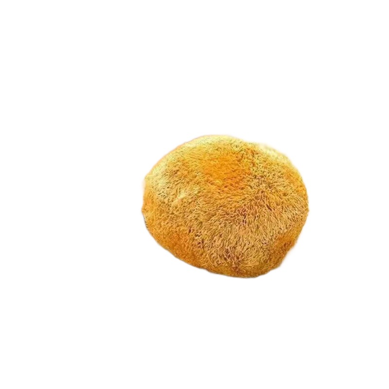 [One-piece delivery] factory direct sales Gutian specialty monkey head mushroom dry goods wholesale stomach nourishing soup cooking mushroom