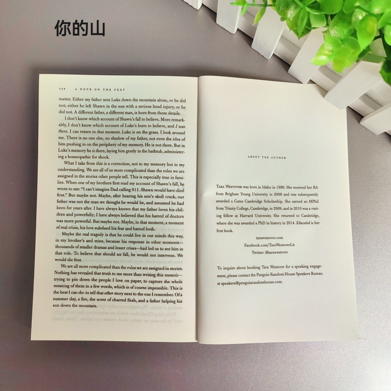 Educated A Memoir Education Changes Your Life When You Fly Like a Bird to Your Mountain