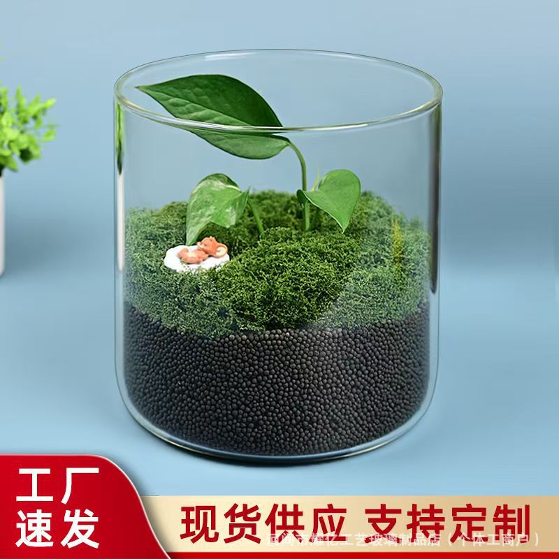High Borosilicate High Transparency Large Diameter Micro Landscape Bottle Hydroponic Ecological Bottle Glass Betta Fish Tank Aquatic Plant Tank