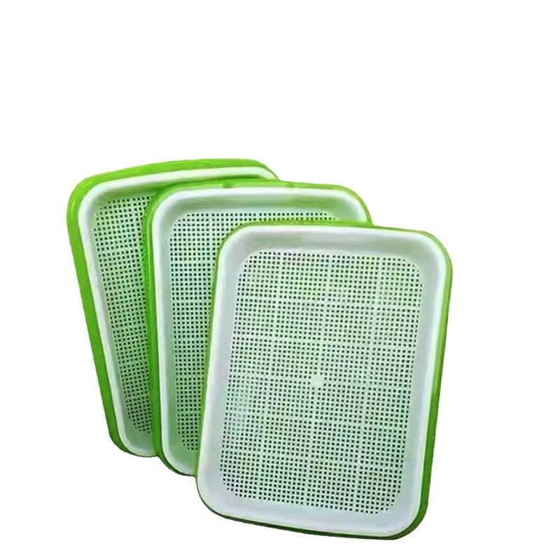 Wheat Grain Cat Grass Seeds Maltose Barley Black Malt Seedling Tray Catnip Hairball