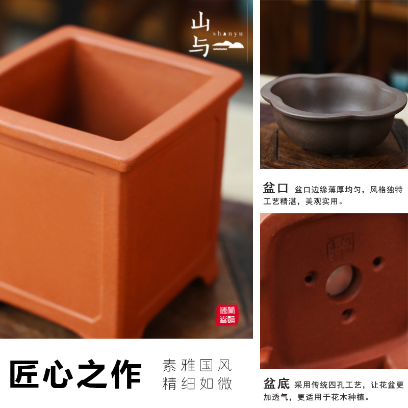 Flame Nandina Potted Foliage Small Bonsai Easy to Maintain and Live Cold-Resistant Green Plants Study Tea Table Zen Micro Landscape