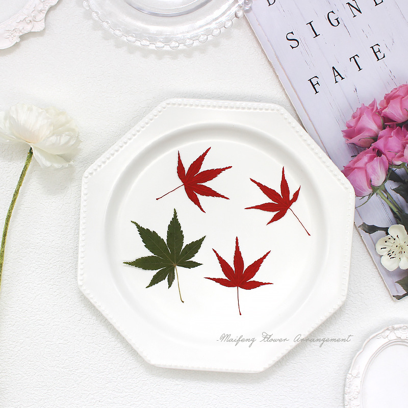 Red Maple Leaf Dried Flower Embossed Plant Specimen Teaching Gel Dropping Mobile Phone Case Children's Handmade Bookmark Photo Frame Flower Decal