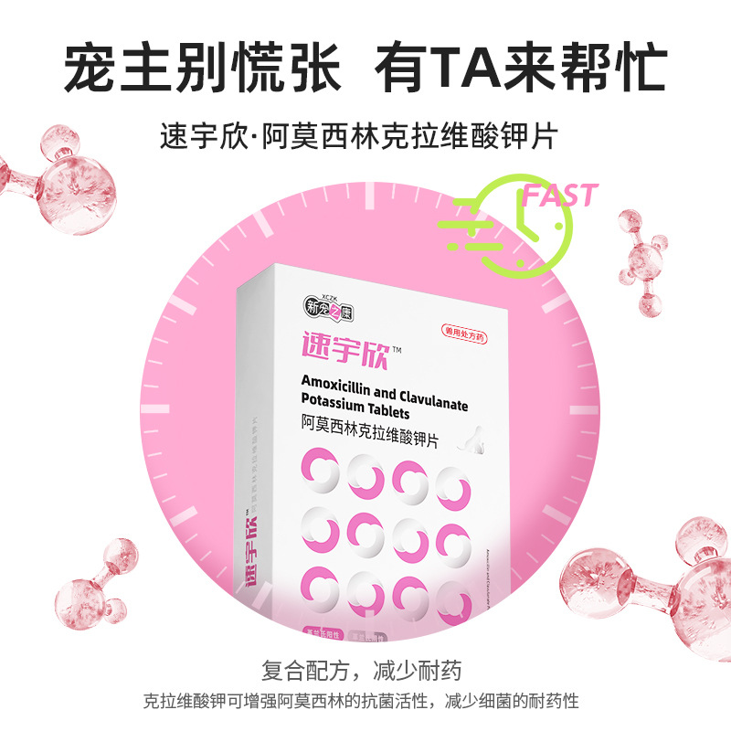 New Favorite Kang Amoxicillin Clavulanate Potassium Cat and Dog Nasal Branch Cough and Cold Medicine Sunuo Anti-Inflammatory Drug