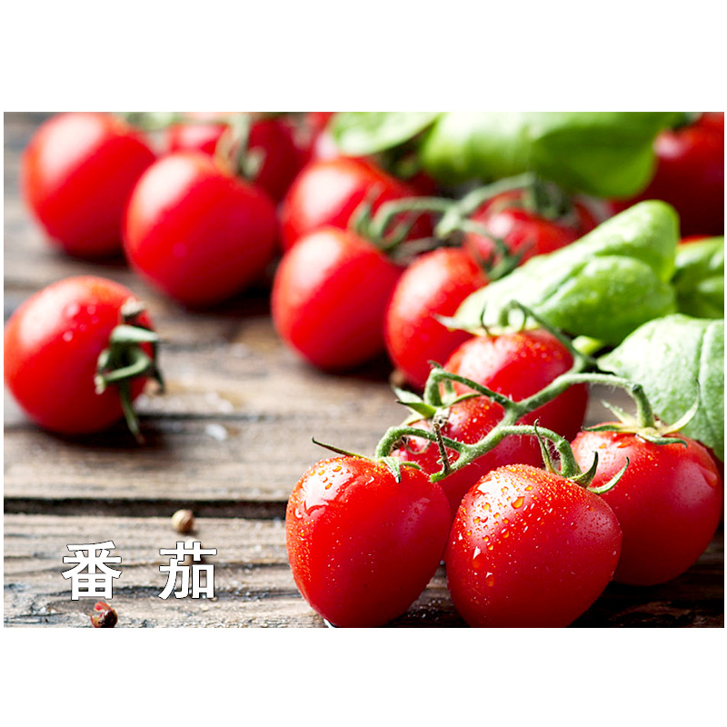 Aiduo Harvest 1.8 Sodium Compound Nitrophenolate Flower and Fruit Coloring to Promote Rooting and Keep Flower and Fruit-preserving Plant Growth Adjustment of Drug Disorder