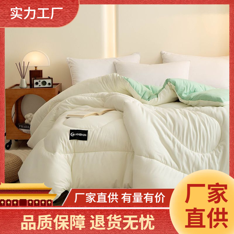 Soy Fiber Quilt Winter Quilt Quilt Core Thickeneded and Warm 2024 New Spring & Fall Quilt Single Air-Conditioned Quilt