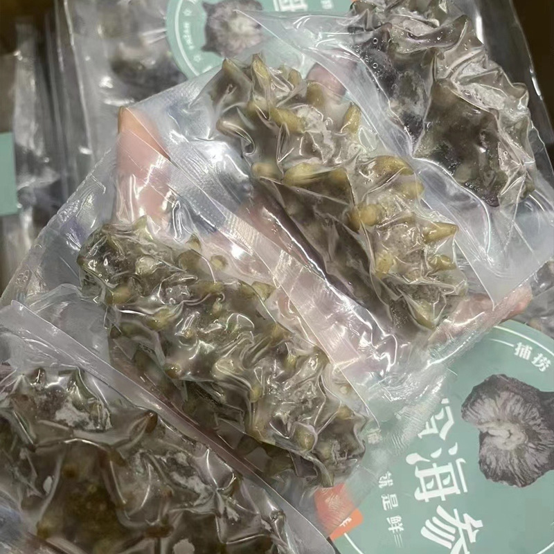 Ready-To-Eat Sea Cucumber 500g Dalian Open Bag Sea Cucumber Single Pack Liaoshan Flagship Store Changhai County Wild Sea Cucumber Non-Dried Goods