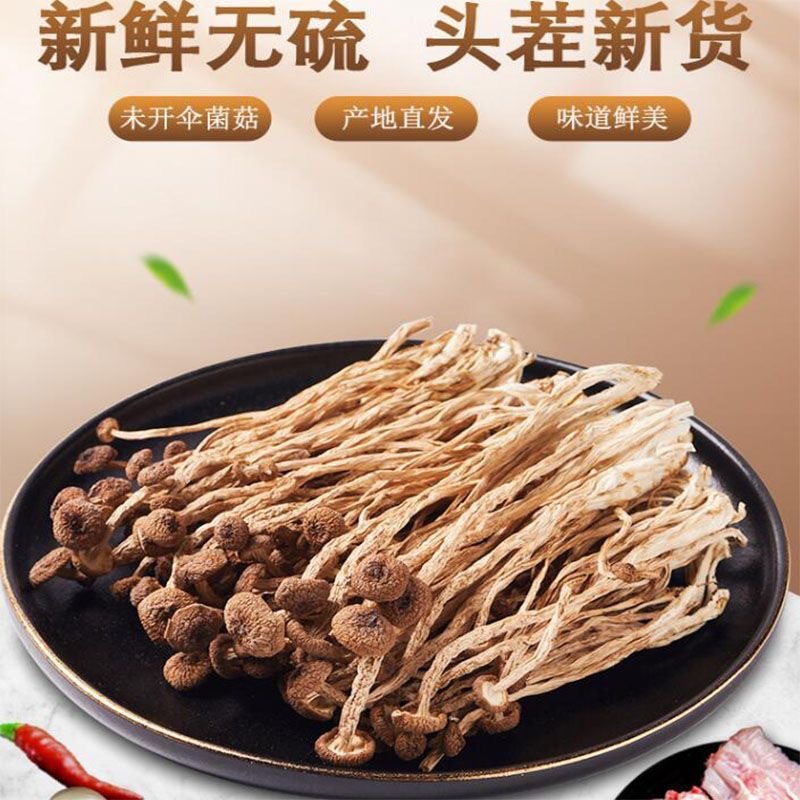 Source factory tea tree mushroom dry new ice mushroom does not open umbrella 500g Gutian specialty bulk tea mushroom wholesale