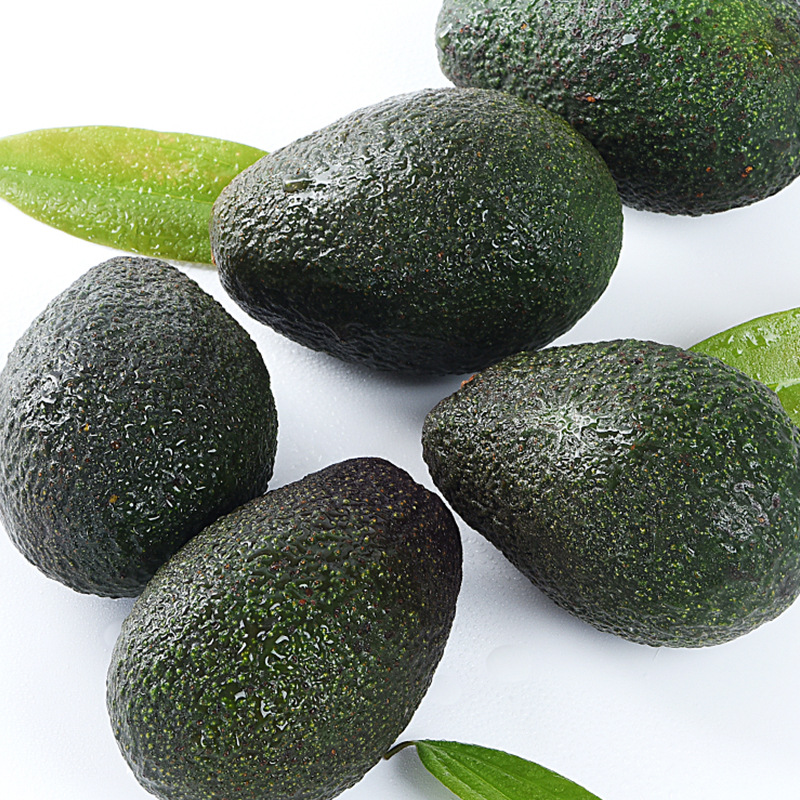 Avocado Fruit Avocado Fresh Seasonal Fruit Pregnant Women Baby Food Supplement Free Shipping Wholesale Dropshipping 130
