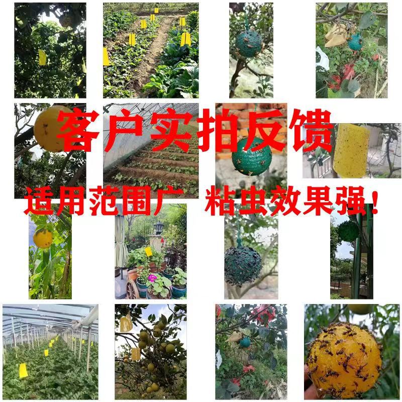 Sticky insect board trap board double-sided yellow board blue board manufacturers wholesale stained insect fruit fly ball fly ball citrus