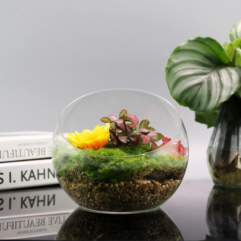 Cross-Border Micro-Landscape Glass Vase Large Oblique Mouth Landscaping Bottle Succulent Moss Plant Hydroponic Vase DIY Ecological Bottle