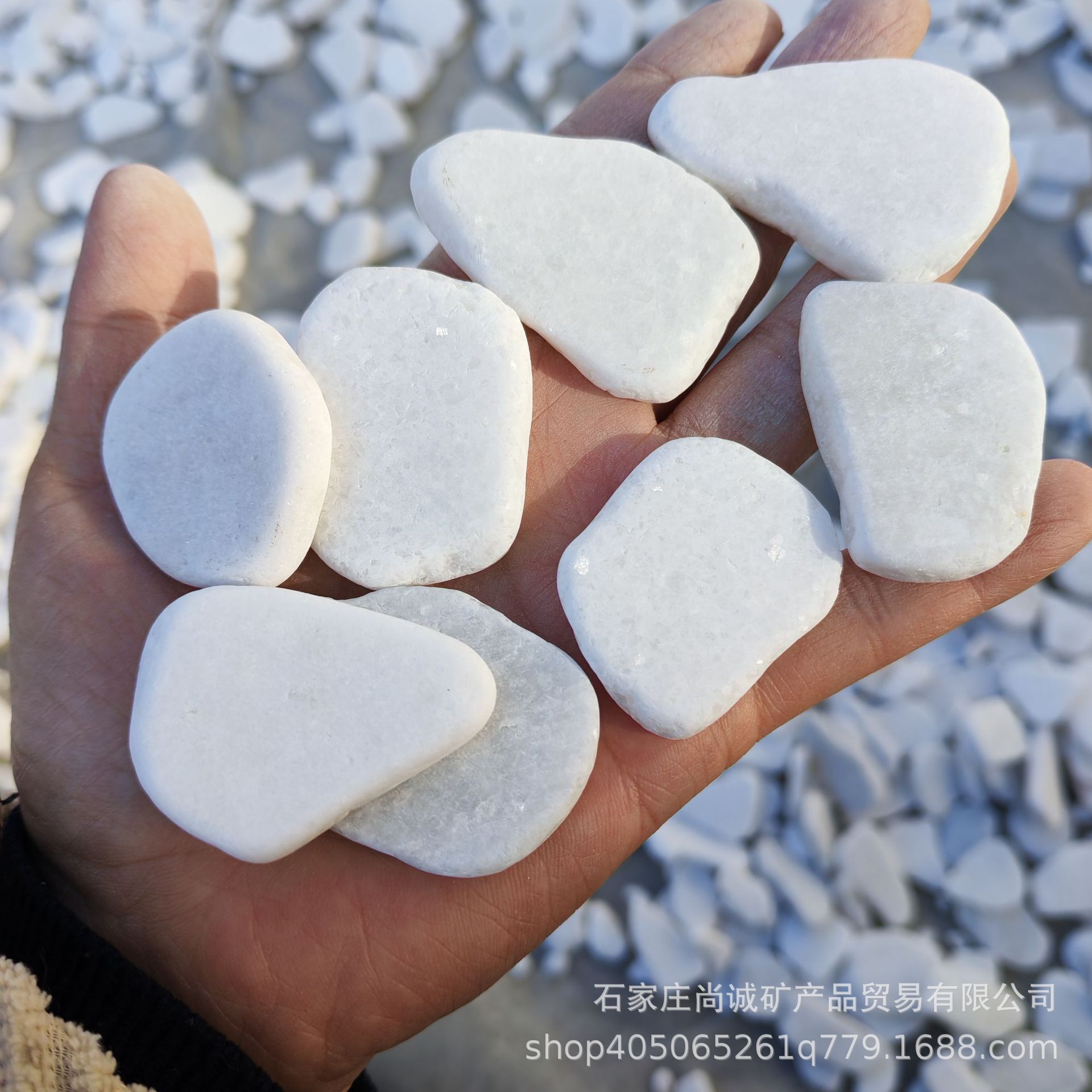 Белая краска на плоском камне Белая краска на гальке Белая краска на камне Рисунок на камне Покрашенный камень