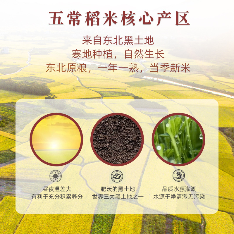 No soaking seven-color brown rice coarse cereals 10kg grain rice 5kg vacuum rice coarse grains brown rice breakfast porridge