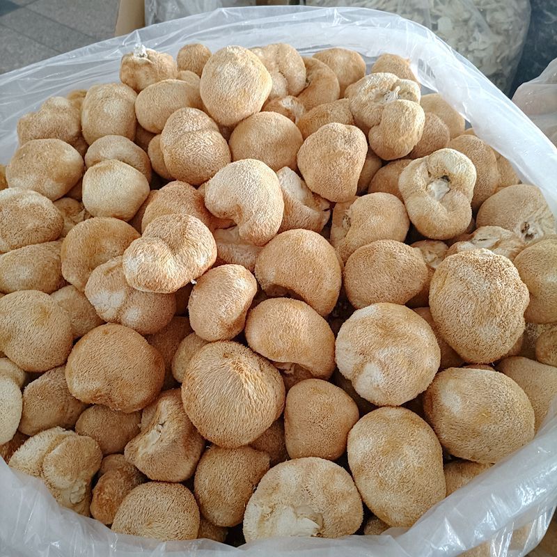 Сухие грибы ерингея, деликатес из Юннани, 500 г, для приготовления супов и поддержания здоровья желудка