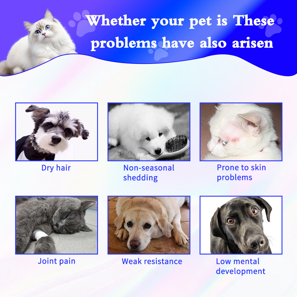 Pet Lecithin Oem Health Care Products Vitamin Lecithin Cross-Border Nutritional Supplements for Dogs and Cats Customized