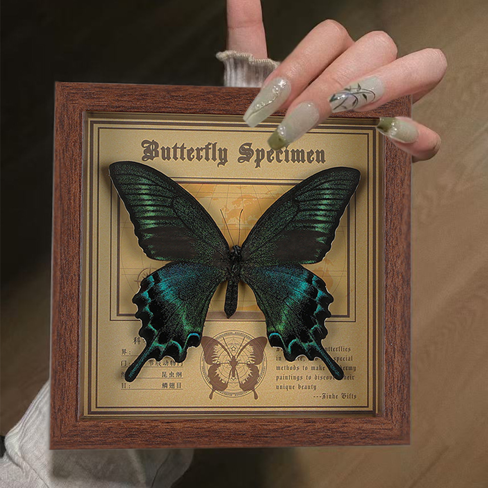Real Butterfly Specimen Photo Frame Decorative Painting Stereo Ornaments Handmade DIY Birthday Gift Insect Specimen