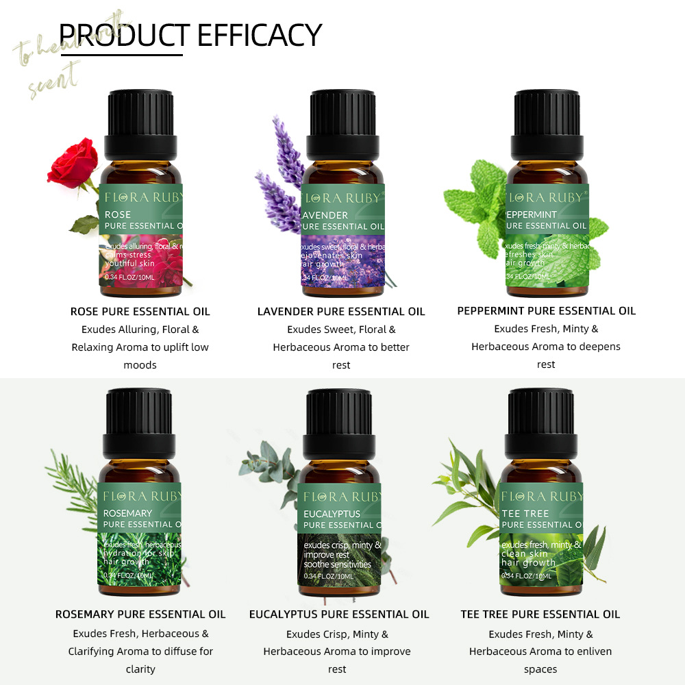 Cross-Border Plant Skin Care Aromatherapy Essential Oil Set Rose Rosemary Aromatic Pure Essential Oil Beauty Salon Manufacturer Wholesale