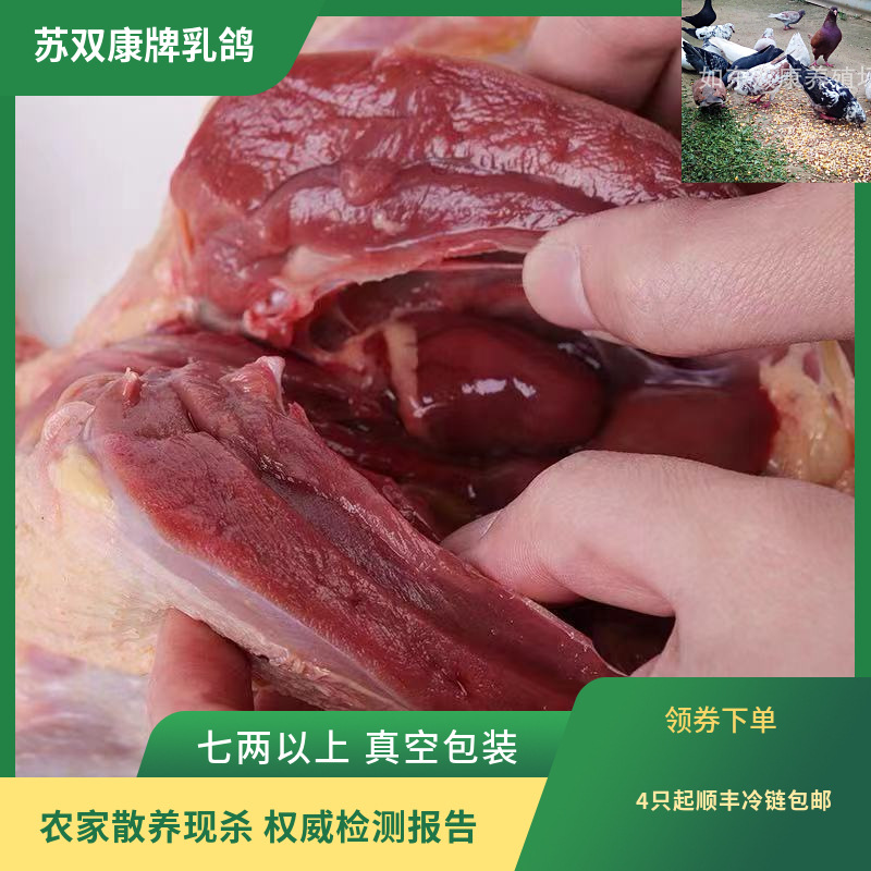 Оптовая продажа одной штуки мяса голубей, выращенных на ферме, охлажденного