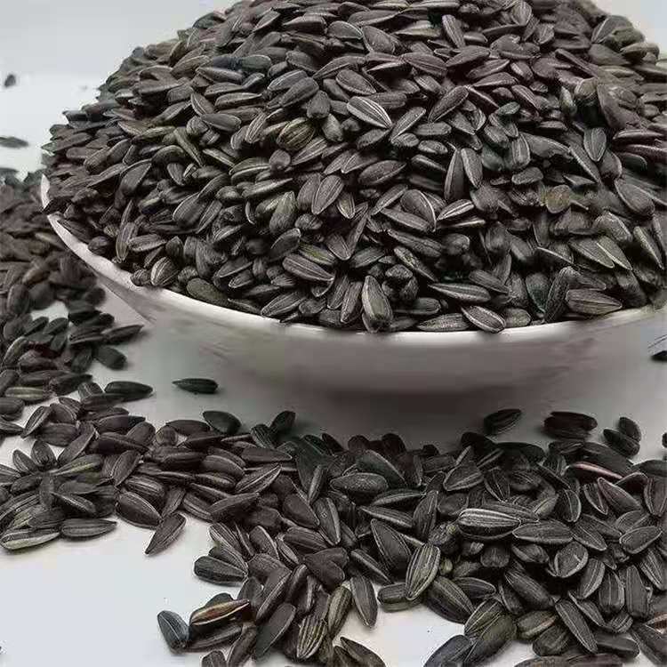 In the season, a large number of new products wholesale melon seeds, melon seeds, rice, oil, sunflower, sunflower, whole grains, oil and melon seeds in bulk
