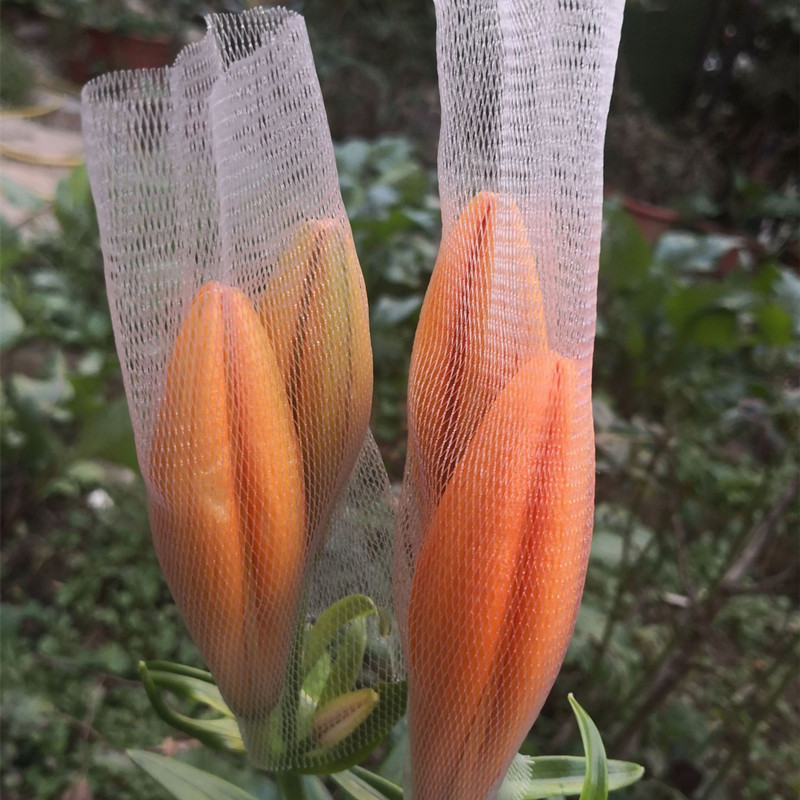 Herbal Flower Hydrangea Extra Soft Encryption Protection Net Cover Anti-Collision during Transportation Factory Direct Hair Protection Net Wuhan