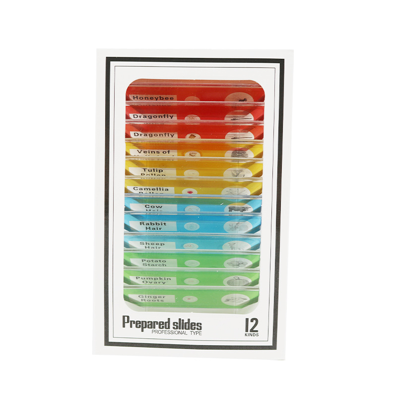 English label microscope accessories insect specimen a box of 12 pieces children's plastic biological specimen slices