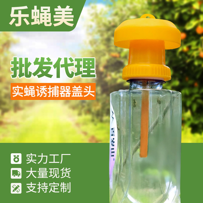 Оптовая ловушка для плодовых мух с бутылкой, ловушка для овощей и сладкого картофеля с приманкой для плодовых мух