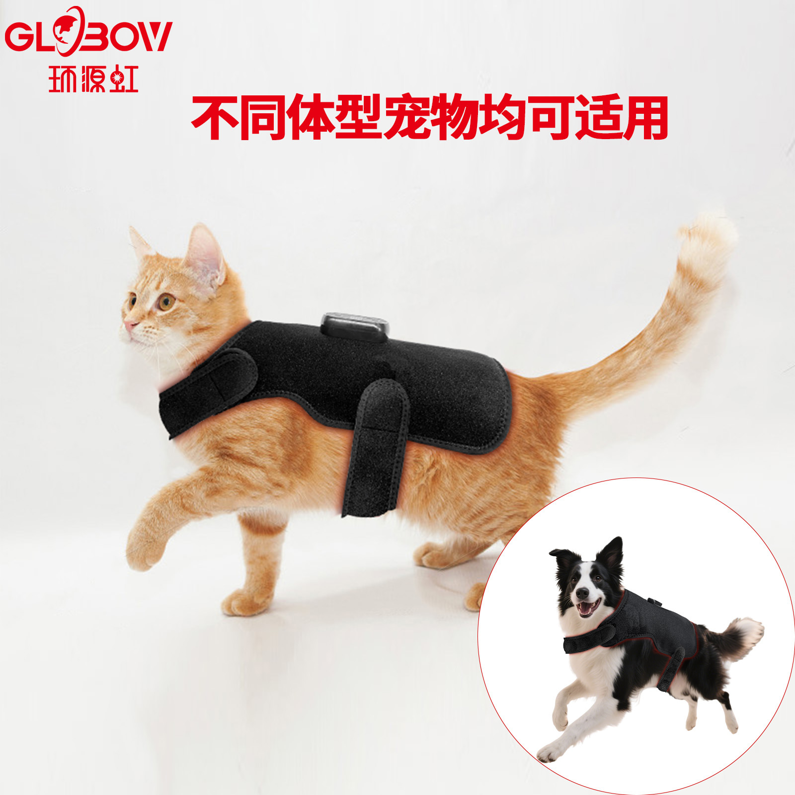 Small, Medium and Large Size Pet Red Light Physiotherapy Instrument Portable Cat and Dog Abdominal Injury Fracture Far Infrared Rehabilitation Physiotherapy Anti-Licking