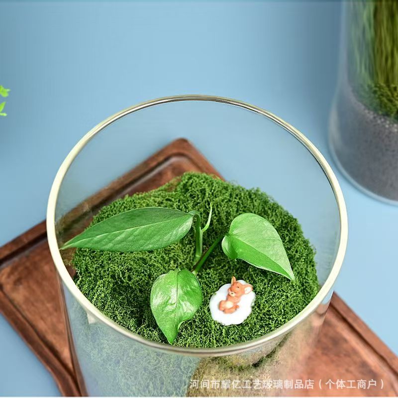 High Borosilicate High Transparency Large Diameter Micro Landscape Bottle Hydroponic Ecological Bottle Glass Betta Fish Tank Aquatic Plant Tank