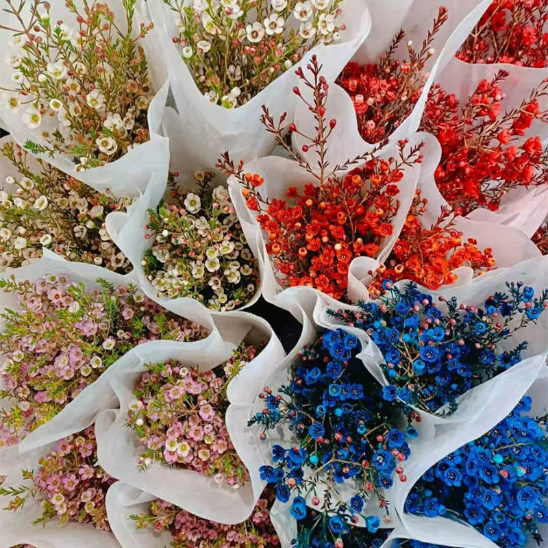 Wholesale of Wintersweet Flowers, Australian Wintersweet, Direct Supply of Yunnan Flowers, Silver Willow Wedding Florist Stall Flowers, Community Group Purchase Supply