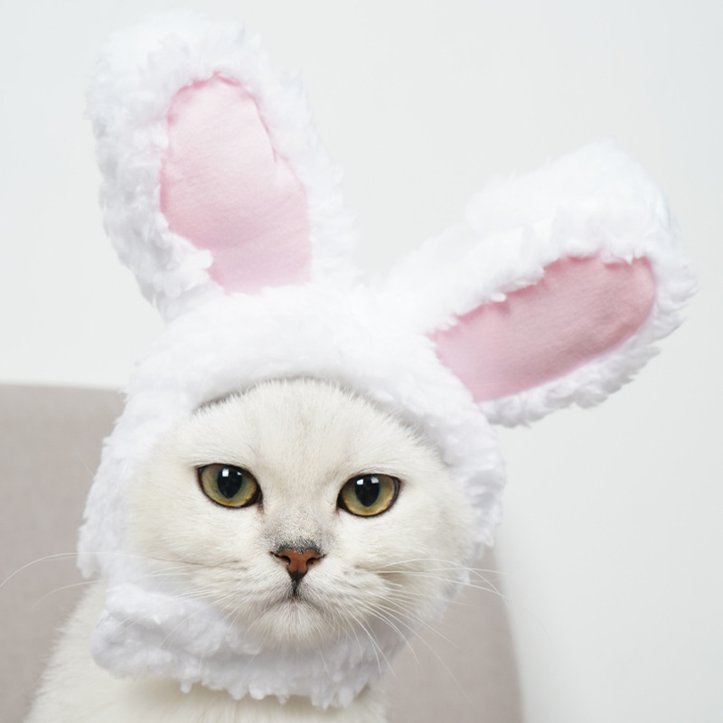 Cross-border Cat Headgear Cute White Rabbit Cross-dressing Hat Cat Headwear Performance Props Funny Pet Hat Rabbit Ears