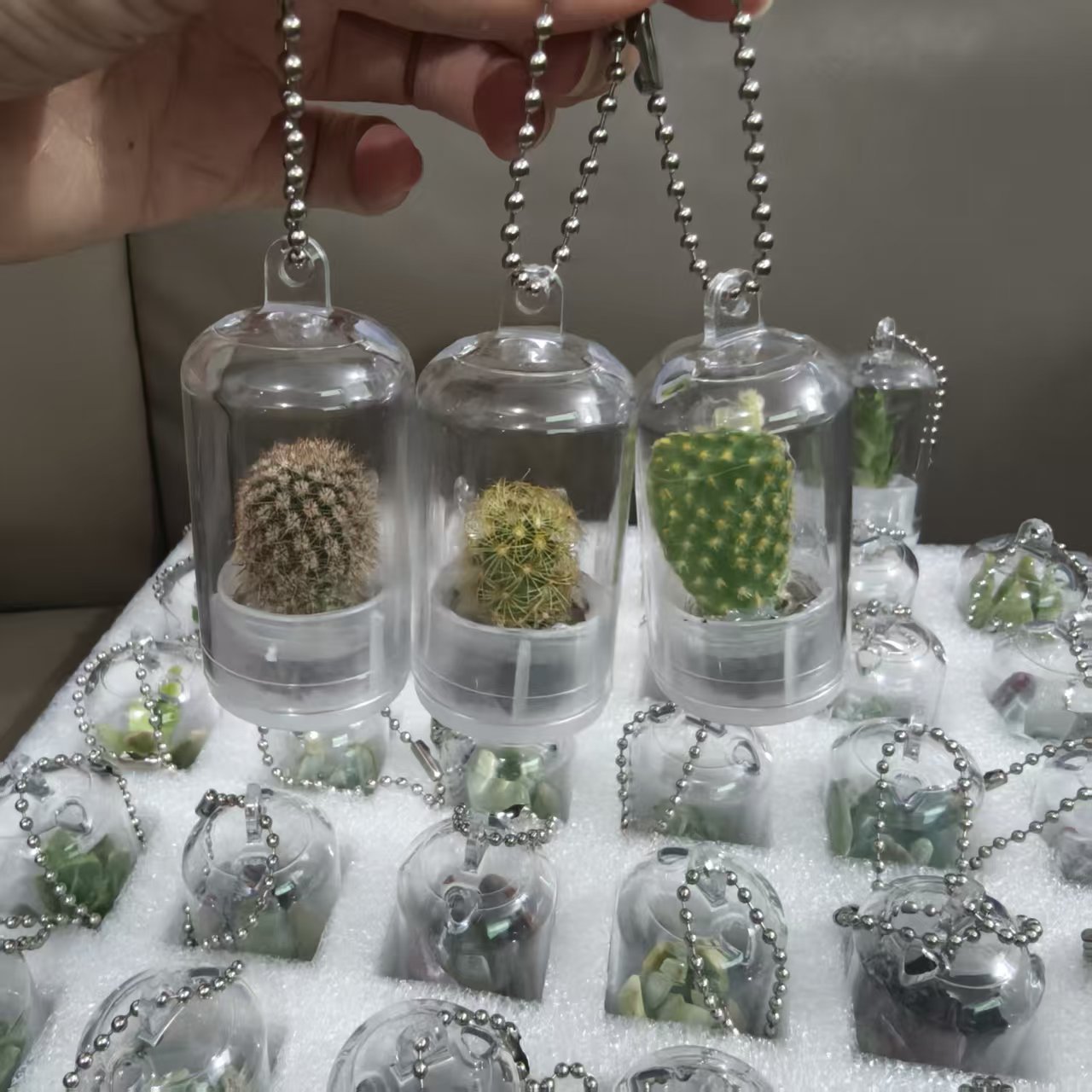 School Bag Pendant Creative Mini Succulent Plant Pendant Miniature Landscape Keychain Couple Best Friend Student Gift