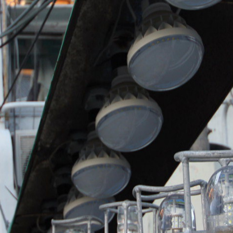 Outdoor Led Bulb Outdoor Par56 Plant Light E40 Lamp Holder Aluminum Shell Bulb Light Ip65 Waterproof Light 50W