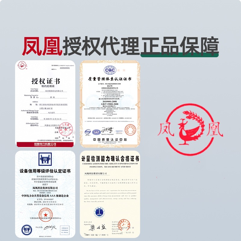 Phoenix Genuine National Standard A-Grade Copper Connector Dt101625355095 Square Copper Lug Copper Terminal Copper