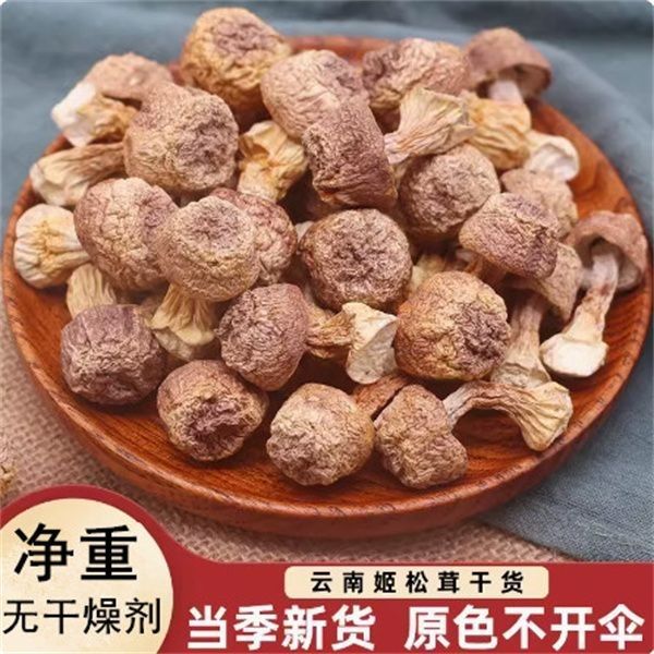 Прямые продажи производителей специальности Юннаня Агарикс Блазеи сушеные товары Бразилия оптовая продажа