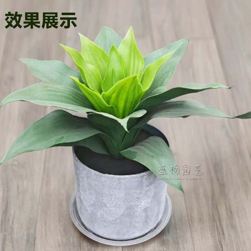 Transparent flat edge tray plastic water tray round flower pot base a variety of specifications factory direct sales