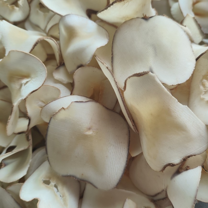 Undersea Coconut Manufacturer Direct Sales Wholesale Dried Goods Soup Ingredients Original Undersea Coconut Dried Slices Dessert Ingredients Dropshipping