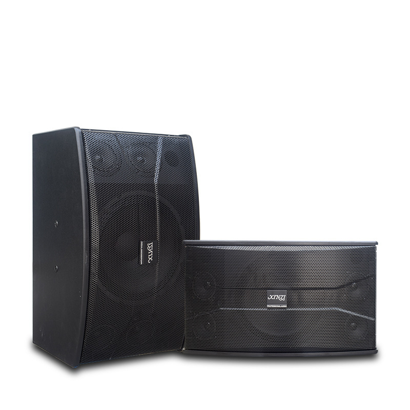 Family KTV high-power card speaker 8 inch 10 inch multimedia fitness conference dance room background audio wholesale