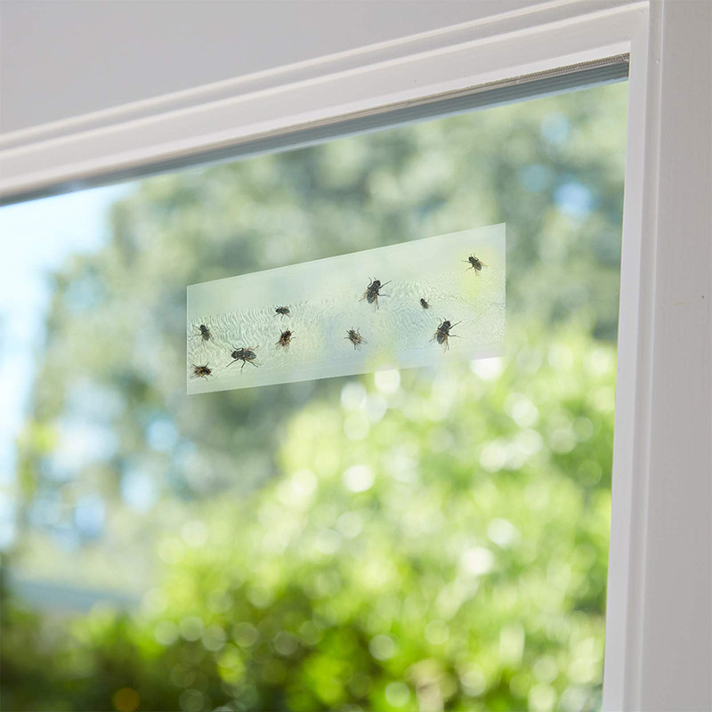 Stickworm window grilles Transparent Stickworm Board Flycatcher Flyboard Fly Sticker Fly Trap Drosophila Sticker Fly Paper