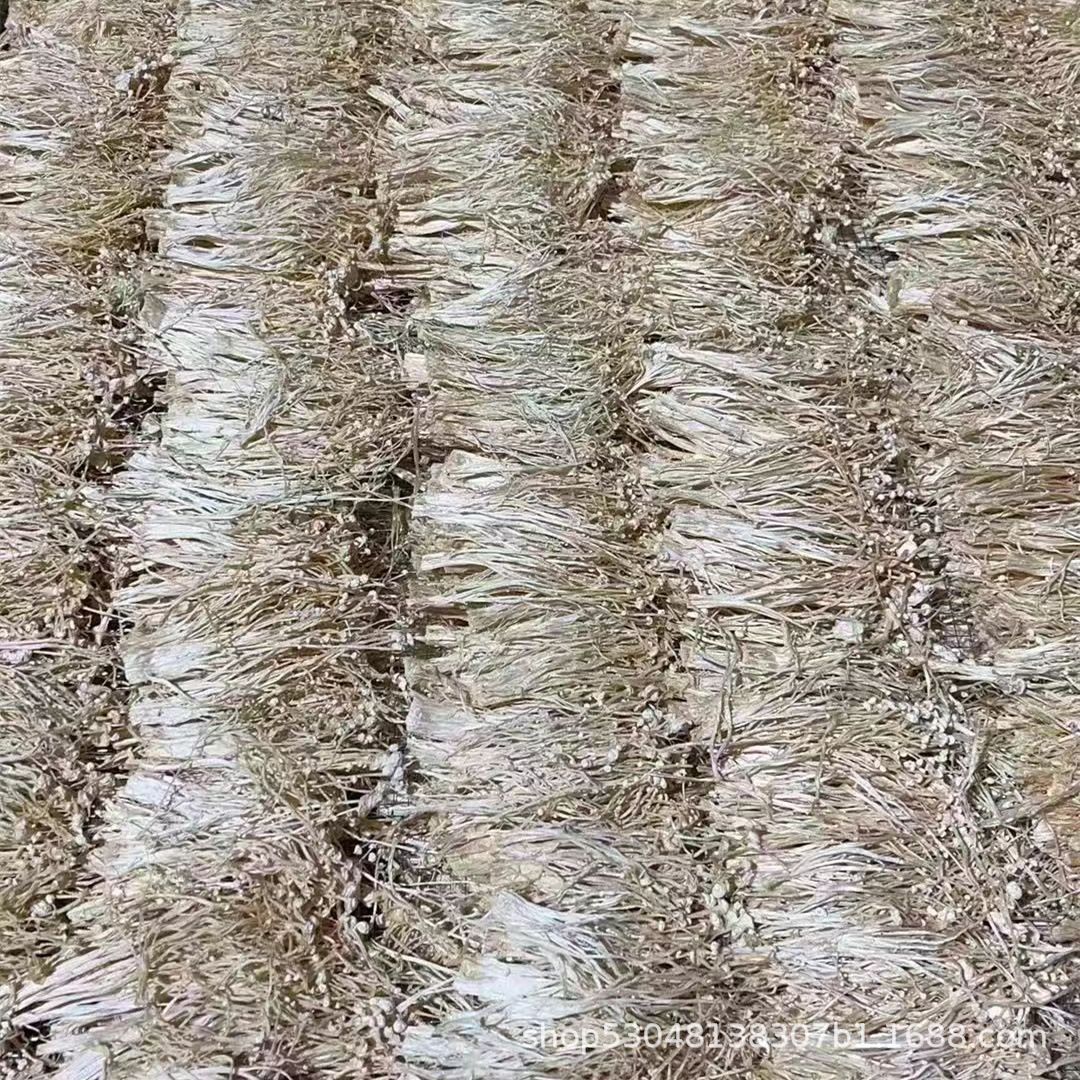 Dried Enoki Mushrooms 500g, Mushroom Agricultural Products, Bulk Dry Goods, Soup Ingredients, Direct Sales from Manufacturer, Wholesale, Large Quantity Negotiable