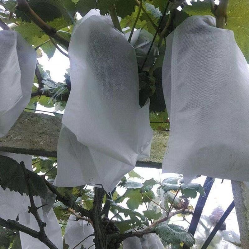 New Grape Bagging Non-Woven Fruit Open-Air Special Insect-Proof, Bird-Proof, Waterproof and Rain-Proof Fruit and Grape Bags Multi-Purpose