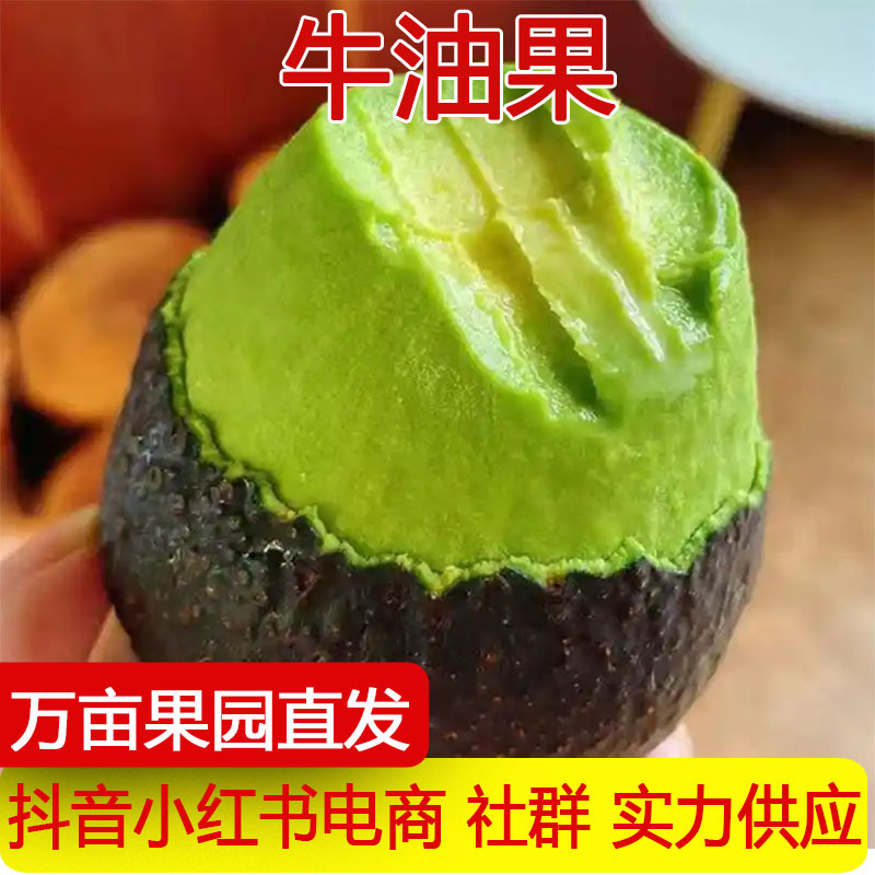 Популярный импортный авокадо, крупный плод, крем, свежий фрукт, дропшиппинг