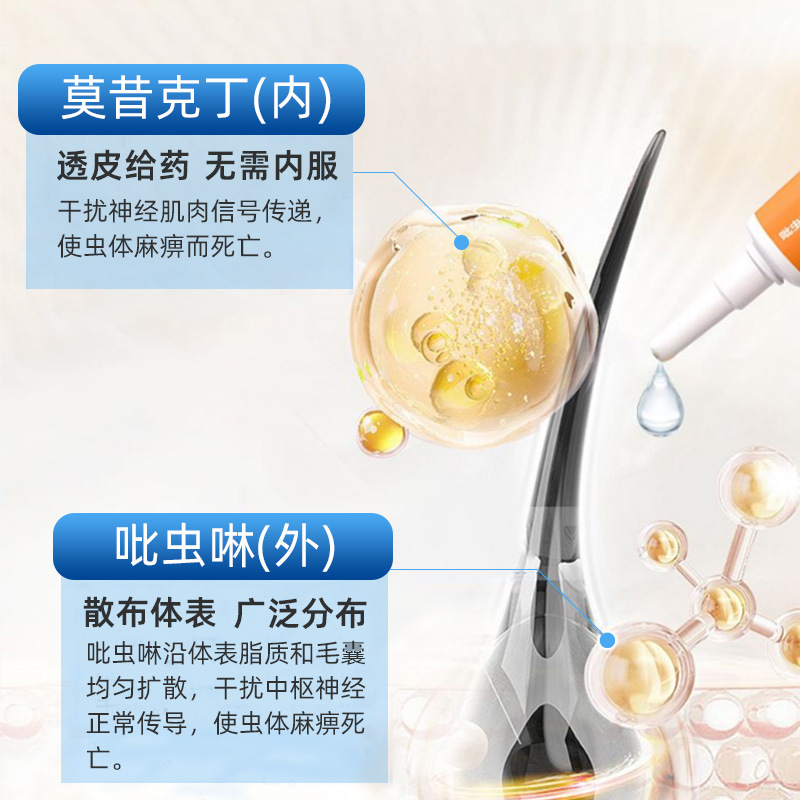 Annsipet Imidacloprid and Moxidectin Drops Pet Internal and External Deworming Medicine for Fleas, Mites, and Ear Mites