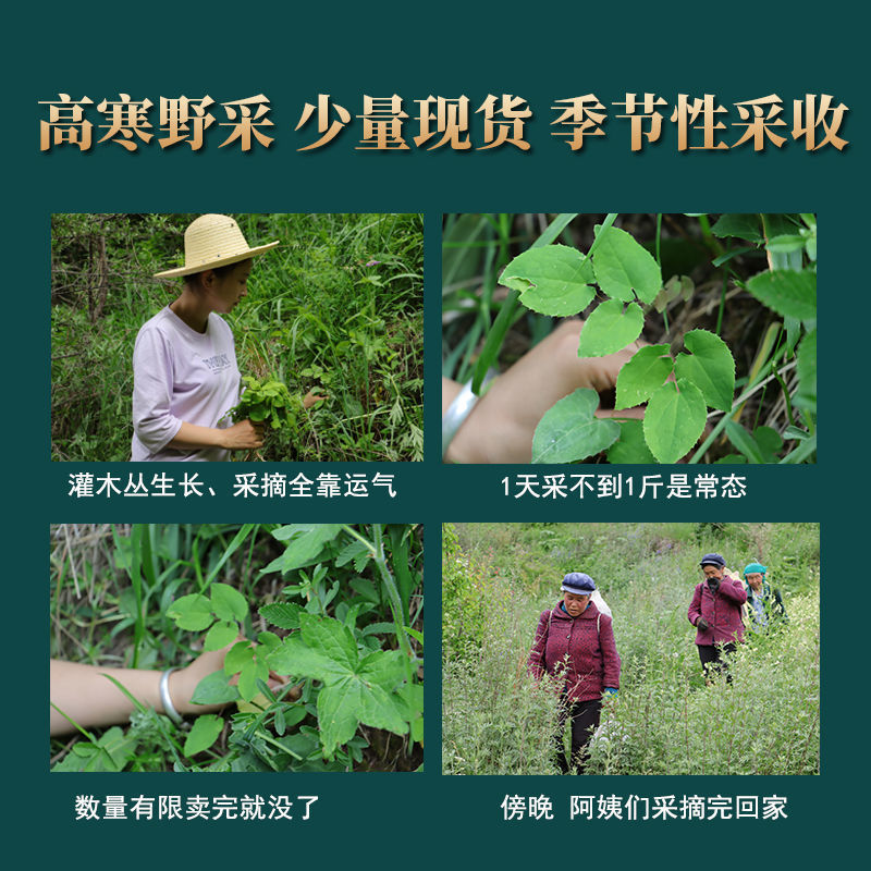 500g of Genuine Wild Epimedium Leaves Chinese Herbal Medicine Soaked in Wine for Men to Make Tea and Drink to Nourish the Liver and Kidneys