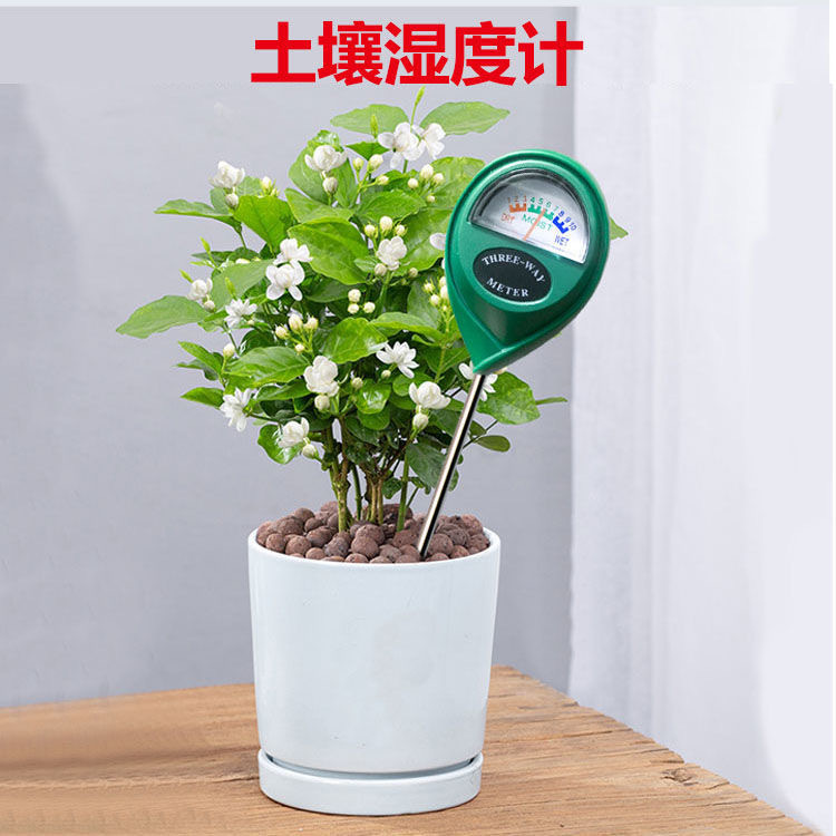 Soil moisture meter horticultural potted soil moisture detector round head one-in-one soil tester
